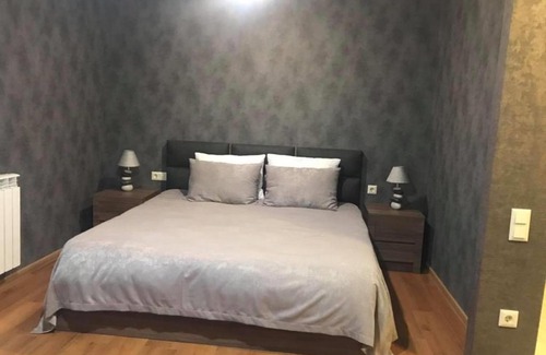 Bakurianis Andeziti Apartment | Bakuriani area park 83