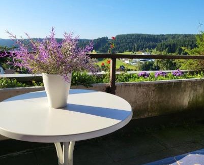 Schonach im Schwarzwald Apartment | Balcony-Apartment besides forest