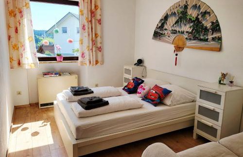 Schonach im Schwarzwald Apartment | Balcony-Apartment besides forest