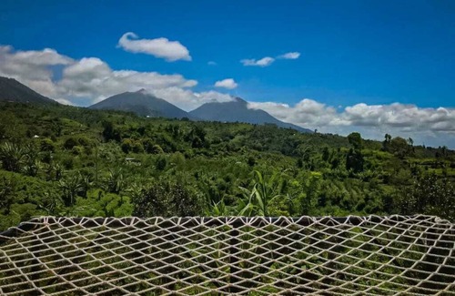 Gobleg Cabin | Bali Nature! Private Mezzanine Cabin w/nature view in Buleleng
