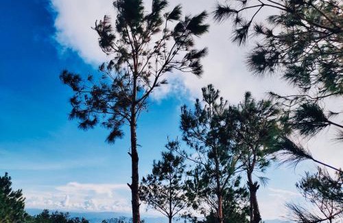 Bac Yen Other | Bamboo Glamping Tà Xùa