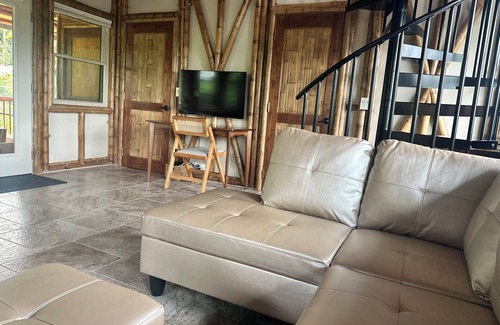 Hilo House | Bamboo River Hideaway in Hilo with fast WiFi near HMC