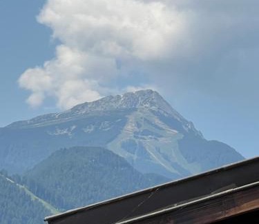 Shiligarnika Apartment | Bansko Gondola Apart