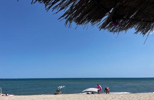 Le Barcares Apartment | Barcaresa-T3 Hippocampe vue mer plage