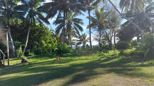 Rarotonga Apartment | Barefoot Base Tupapa