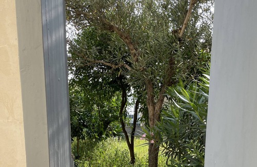 Catona Apartment | Barefoot on the Stretto of Messina