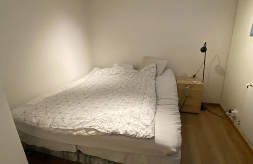 Vaxjo House | Barnvänlig lägenhet nära sjön