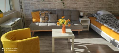 Kaposvar Apartment | Baross apartman