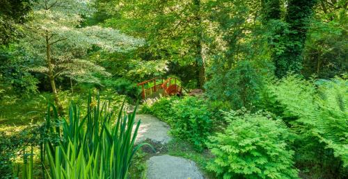 Town Lots Bed & Breakfast | Barry's Bed and Breakfast