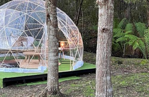 Alonnah Other | Base Glamp Bruny - Heated Tents for 8 People