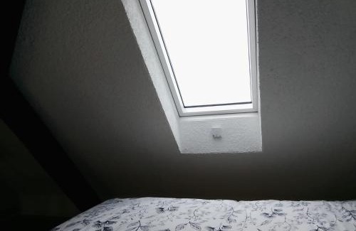 Binningen House | Basel Rühige Zimmer mit grösse Doppelbett