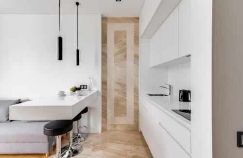 Pechers'kyi District Apartment | BASIS APARTMENTS - Adults Only