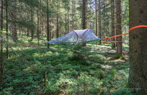 Regen Other | Baumzelt am Waldesrand