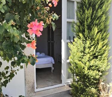 Hacımemis Hotel | Bay C