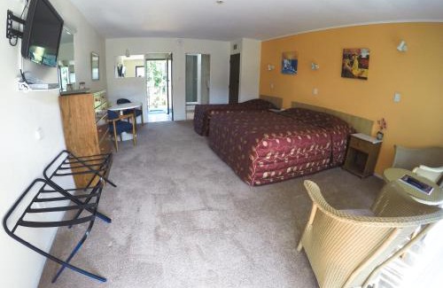 Paihia Hotel | Bay Sands Seafront Studios