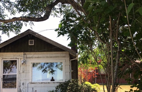 Courtenay Cabin | Beach Bum Cabin with awesome water views, sunsets and bird watching.