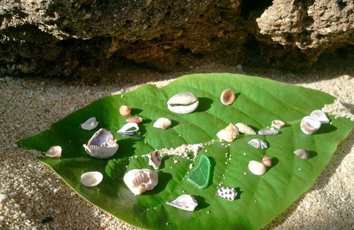 Punaluu Condo | Beach Front Condo, Awesome Views, Pool, Secluded Beach, Kid Friendly