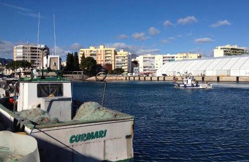 Grao de Gandia Apartment | Beach & Port