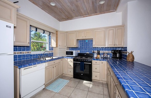 North Palmetto Point House | Beachfront Home on Acre of Land, Walk for Miles on Pink Sand