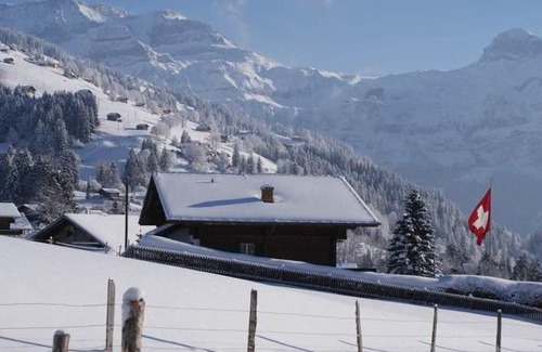 Lenk Apartment | Beatrice Lenk