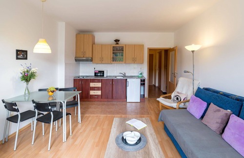 Janske Lazne Apartment | Beautiful apartment for 4 people with WIFI, TV and balcony