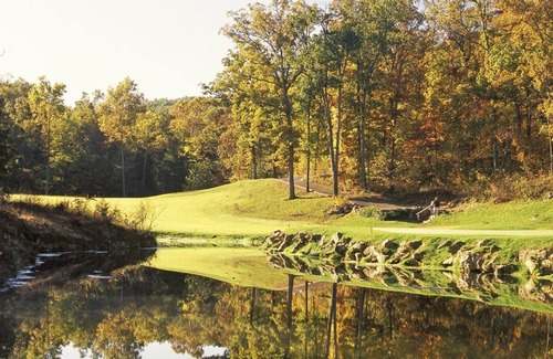 Branson West Apartment | Beautiful 1 bedroom unit at resort, sleeps 4
