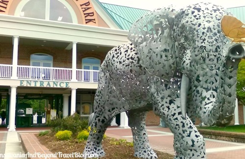 Norfolk House | Beautiful and Pet Friendly 3-bedroom house Near Zoo