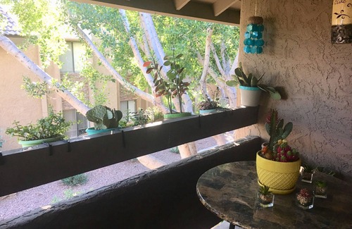 Arcadia Lite Condo | BEAUTIFUL AND UPDATED ARCADIA CONDO w/POOL/SPA/GYM