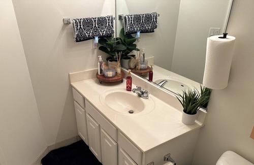 Cleveland Heights Apartment | Beautiful Apartment in Cleveland Hts. Near Downtown, Hospitals, and Attractions.