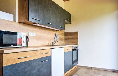 Nova Ves nad Nisou Apartment | Beautiful apartment for 4 guests with WIFI, TV and terrace