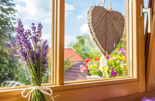 Hergensweiler Apartment | Beautiful Apartment “Obstwiese” with Mountain View, Wi-Fi and Separate Terrace, Pets on request