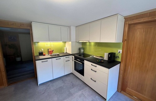 Frutigen Apartment | Beautiful apartment for 5 guests with TV and balcony