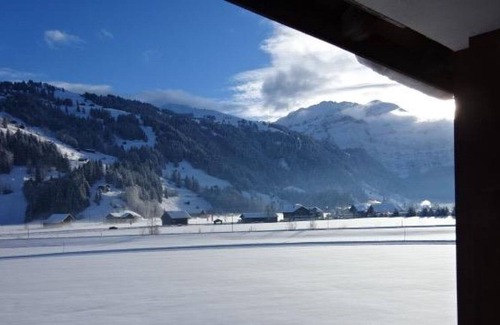 Lenk Apartment | Beautiful apartment for 5 people with WIFI, TV, balcony, pets allowed and parking