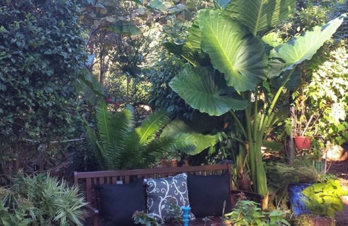 Stone Mountain Apartment | Beautiful basement apartment with Garden