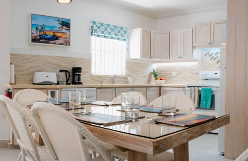 Dover Apartment | Beautiful Beachfront Apartment: Turtles Nest B
