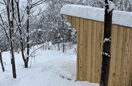 Warkworth Cabin | Beautiful Bunkie with pool on 5 acres