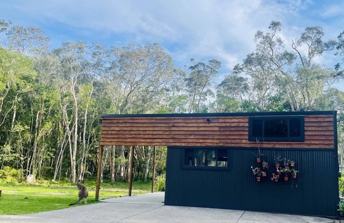 Arakoon Apartment | Beautiful coastal bush studio mins fr South West Rocks