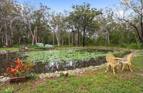 Arakoon Apartment | Beautiful coastal bush studio mins fr South West Rocks
