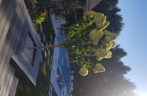 Water Mill House | Beautiful Family All Year Round Rental. Perfect Central Hamptons Location
