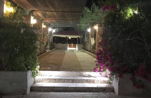 Trade Centre 1 Other | Beautiful Farm in dubai