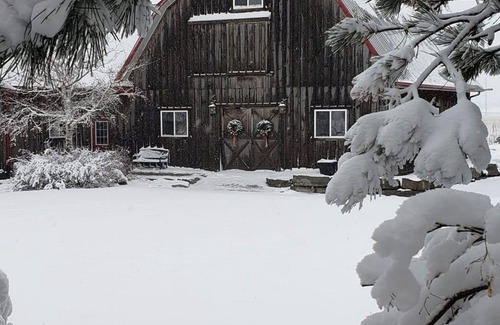 Lincoln Apartment | Beautiful Guest Apartment on Wine Route- Windcrest