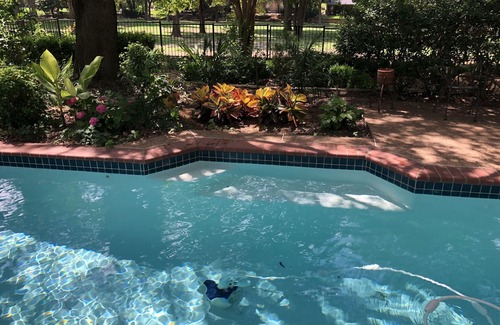McKinney House | Beautiful home in an upscale neighborhood with pool and spa.