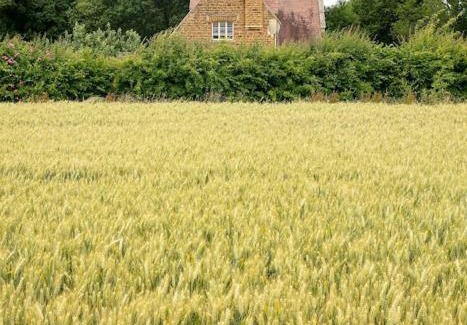 Belvoir House | Beautiful Lodge Cottage near Belvoir Castle