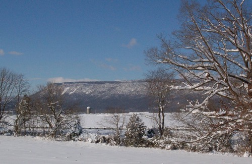 Luray Cabin | Beautiful Log Cabin with Gorgeous Mountain Views