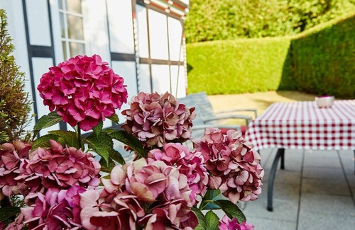 Attendorn House | Beautiful private villa for 6 guests with WIFI, TV, terrace, pets allowed and parking