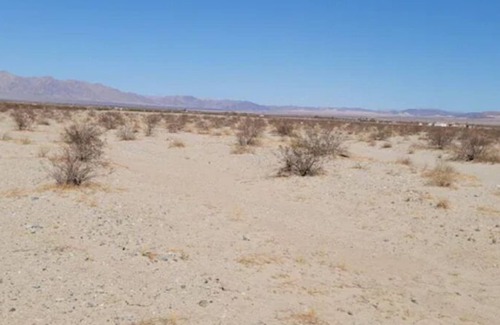Twentynine Palms RV Rental | Beautiful Stars & Moon view. Camping site