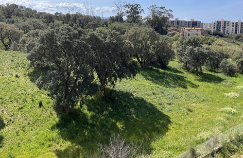 Mezzavia Apartment | Beautiful T2 near downtown Ajaccio