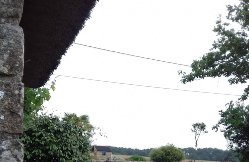 Carnac House | Beautiful thatched cottage in the middle of the field