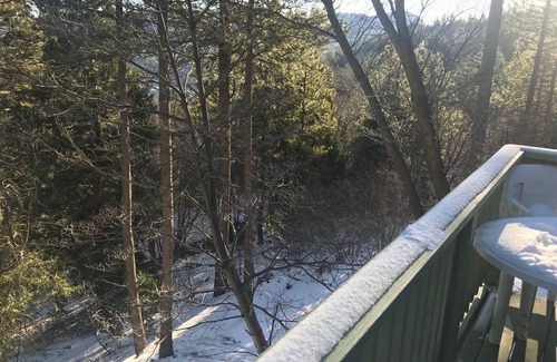 Crestline Ski Chalet | Beautiful two story chalet w/beautiful lake & forest views + game room!