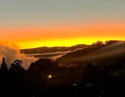 Rotorua Bed & Breakfast | Bed and breakfast
